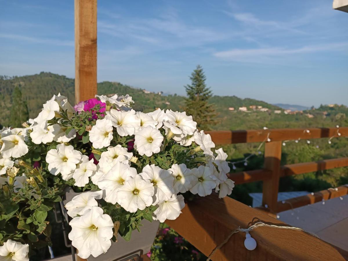 A Casa Di Gaia Hotel Ricco del Golfo di Spezia Luaran gambar